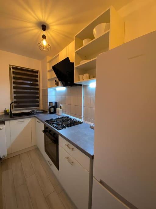 Black& White Apartment Braşov Extérieur photo